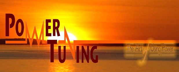 Power Tuning Company - Egypt is one of few companies that concerns with sustainability